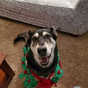 Meet your Posher, Chazz